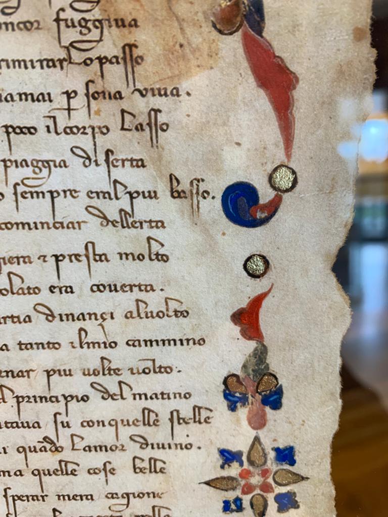 db04a390-ce21-4daf-8246-2eebf1cb0fa4